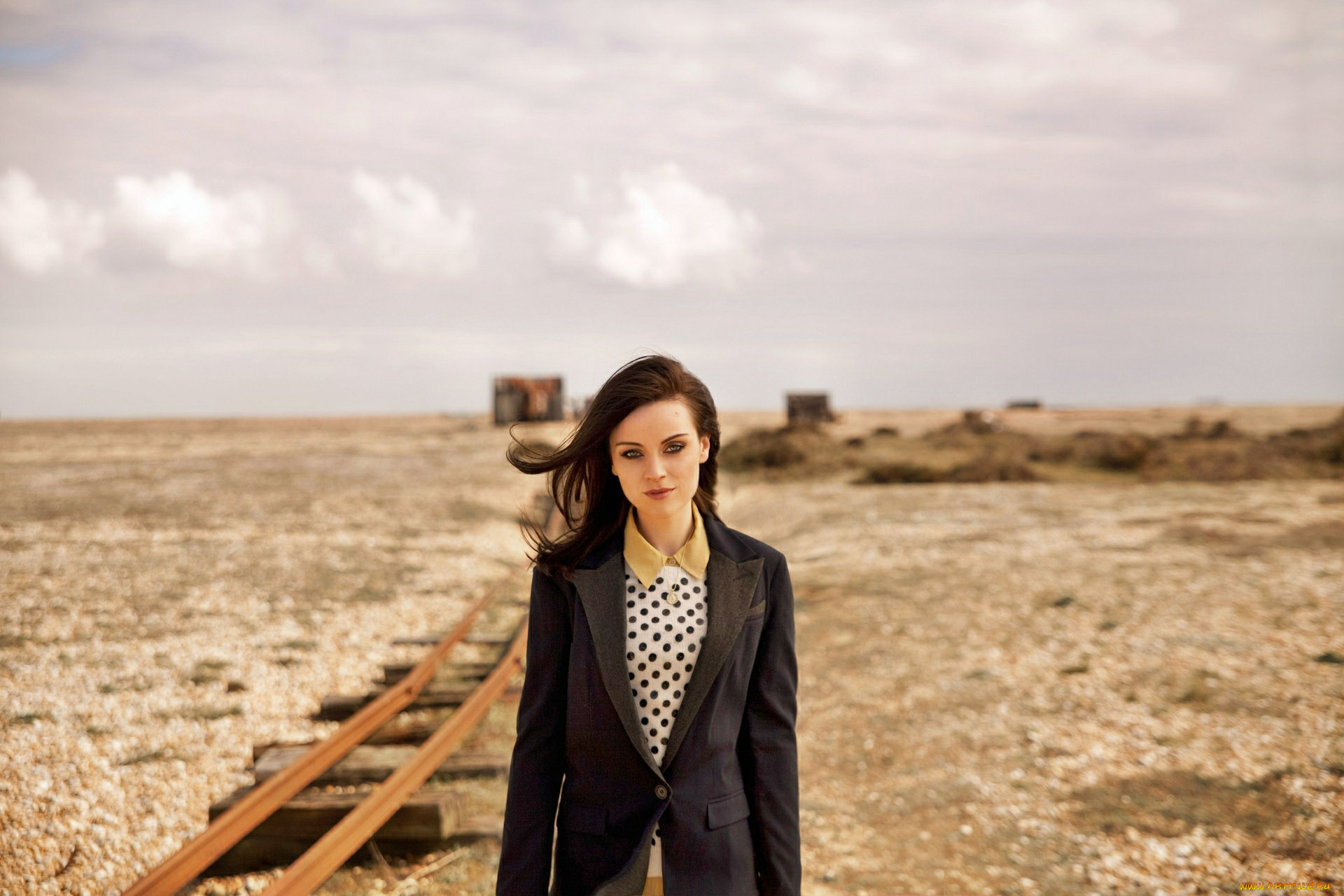 amy, macdonald, , -, , , -, , , 